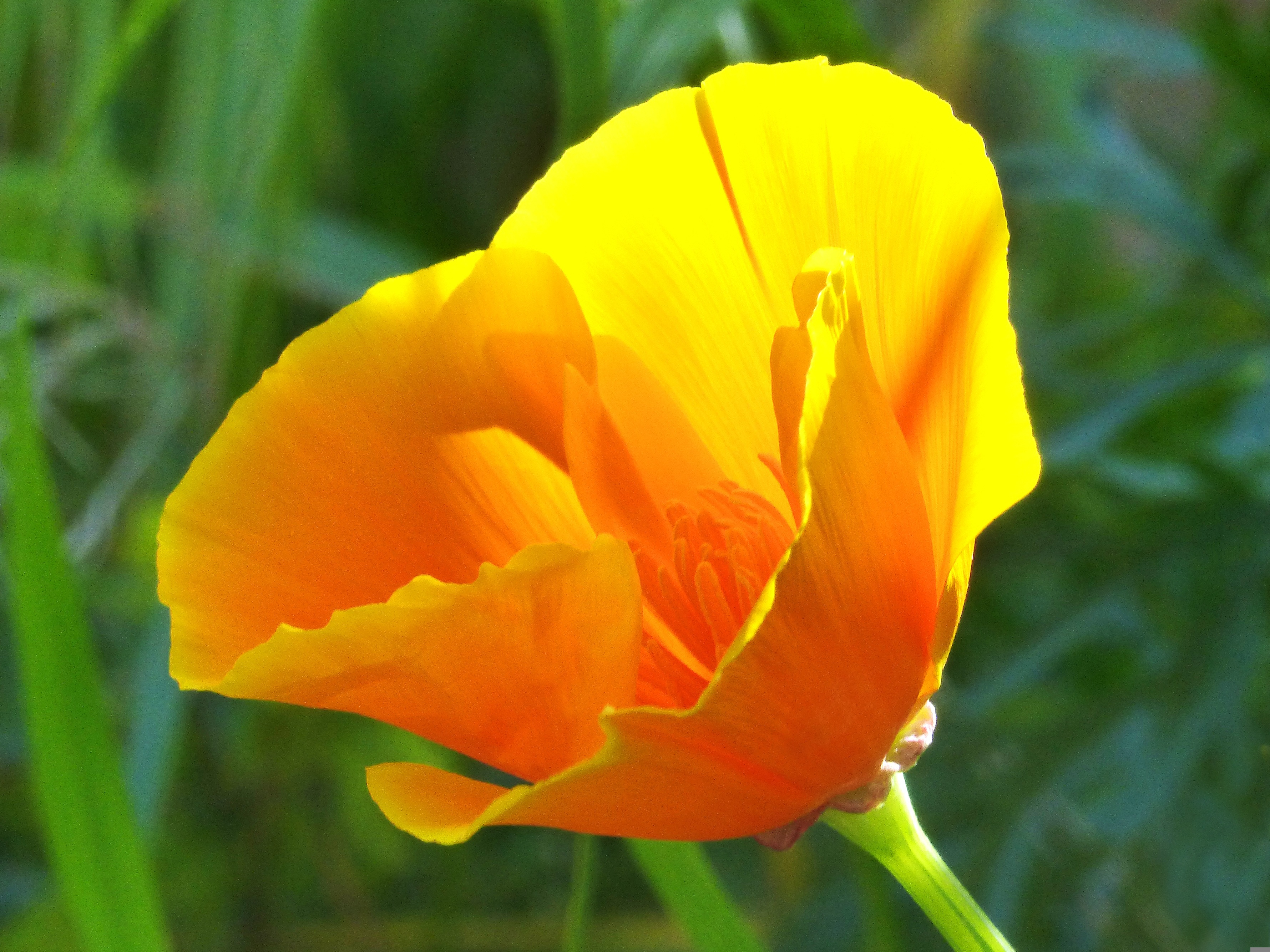 User uploaded image for test (Event ID: 13)