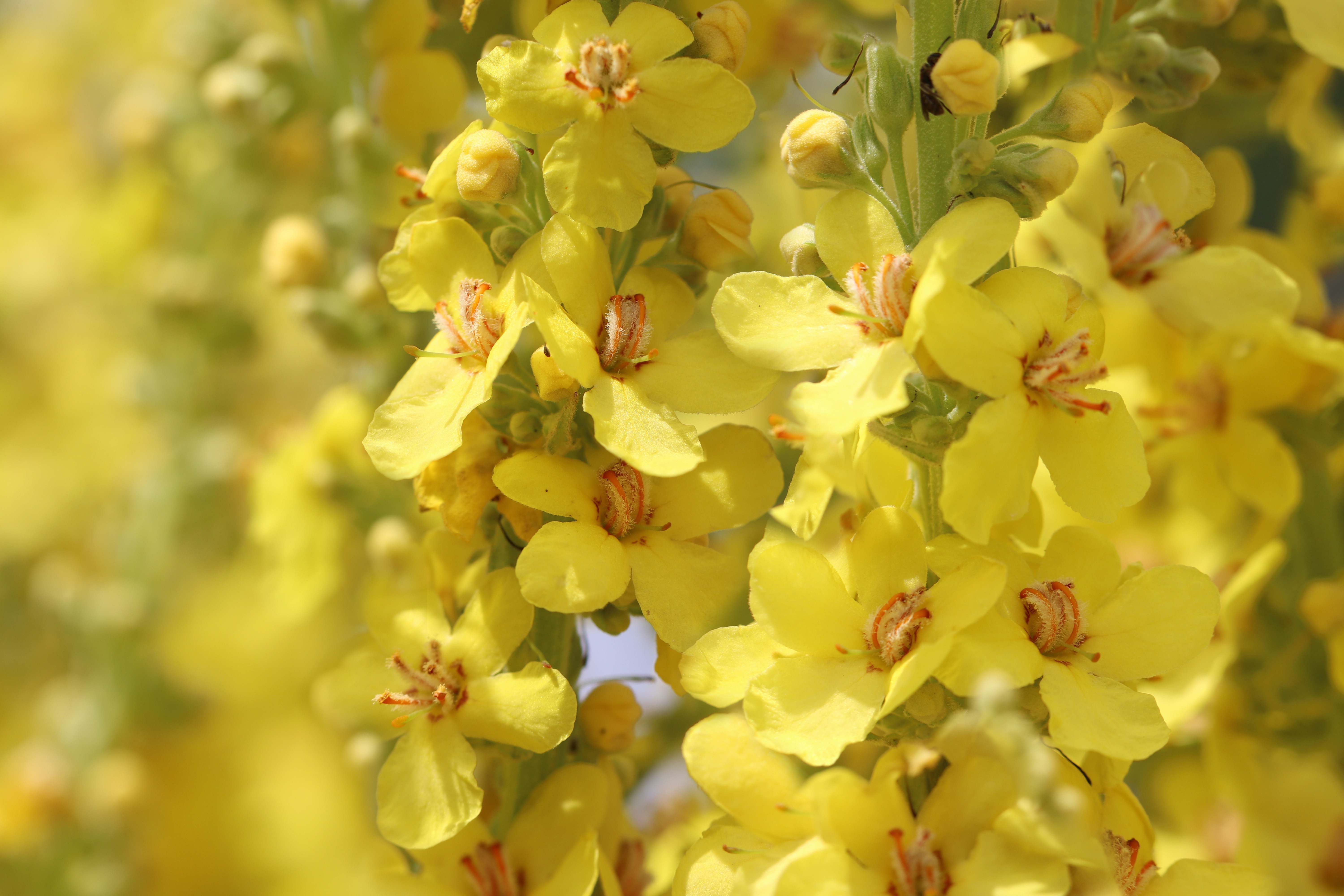 User uploaded image for test (Event ID: 8)